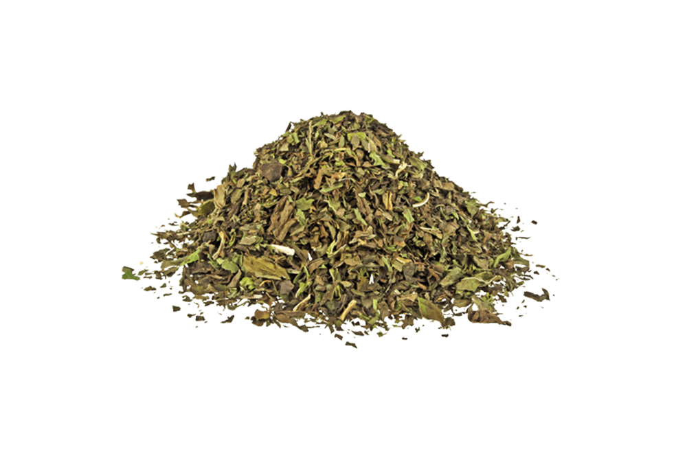 Dry-Spearmint-Pahari-Podina