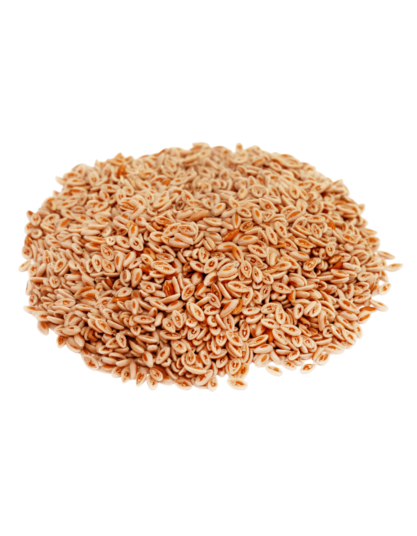 Ispaghol Psyllium Seeds