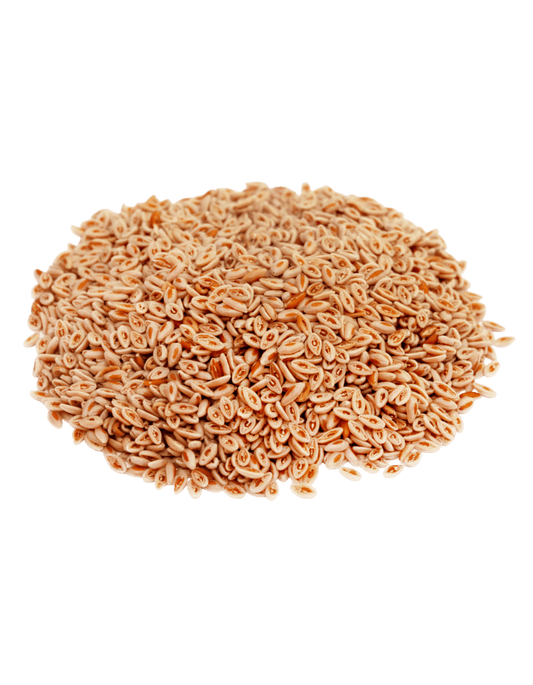 Ispaghol Psyllium Seeds