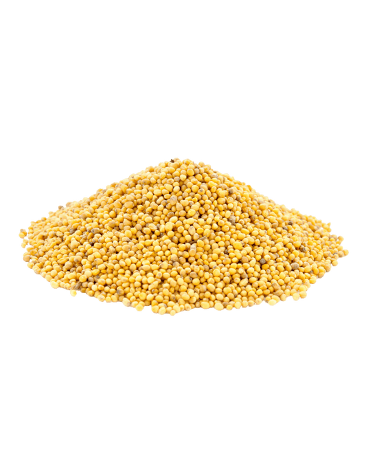 Rai Dana Yellow Mustard Seed 100gm