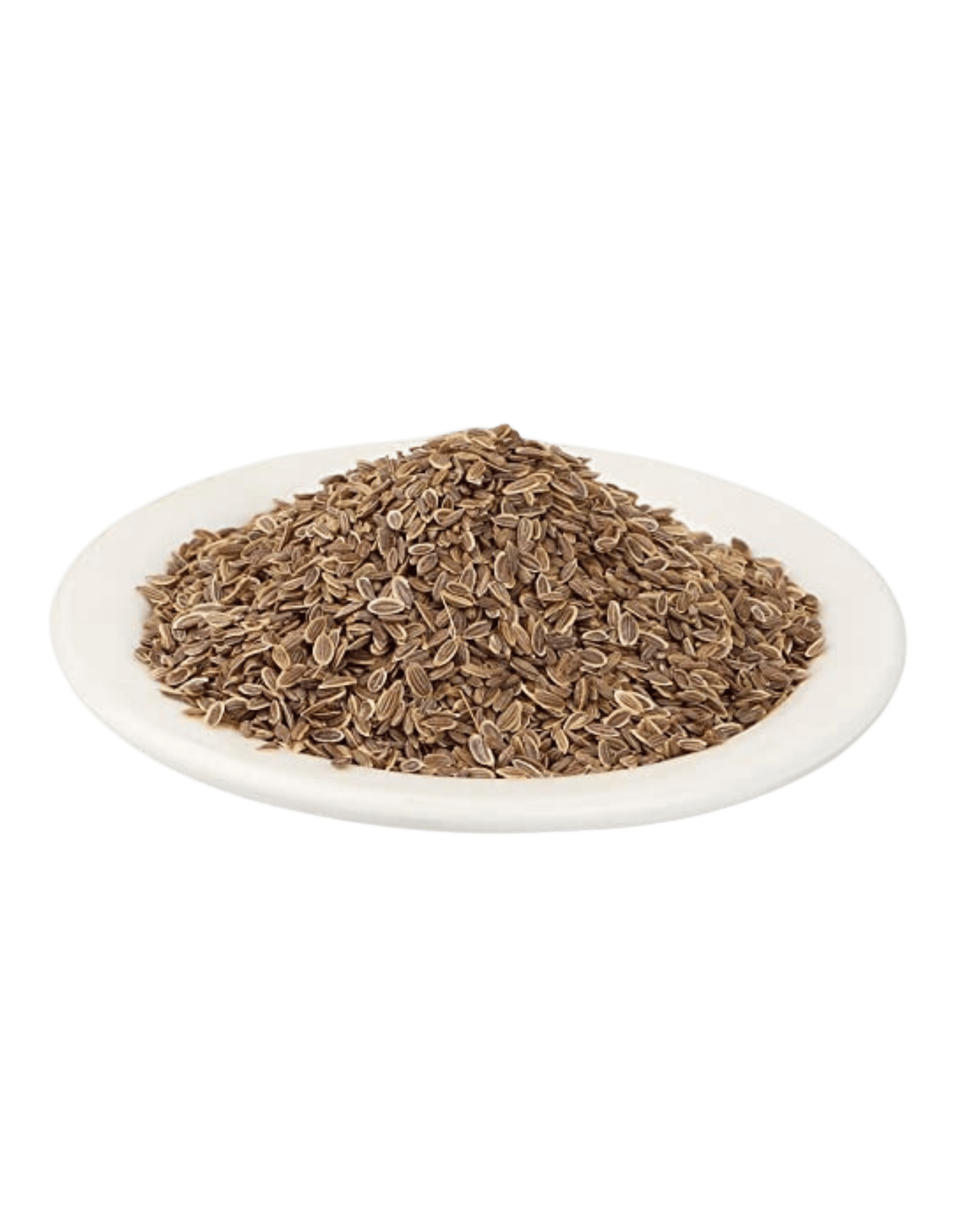 Soya-Seeds-2