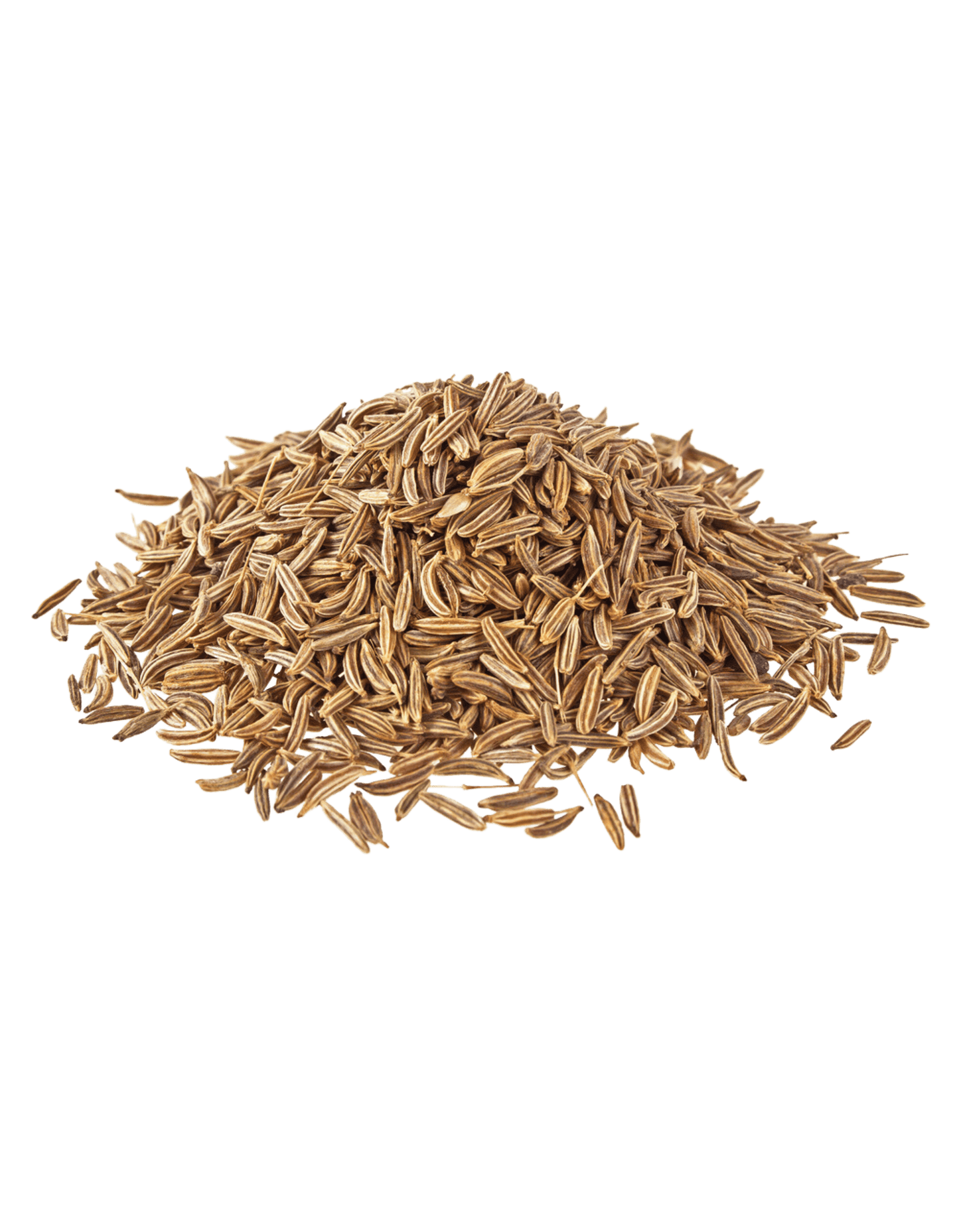 White-Cumin-Seeds-1